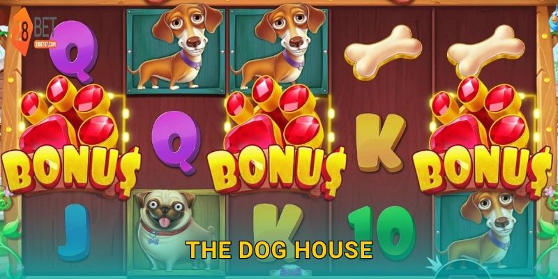The Dog House – Ngôi nhà cún may mắn, thưởng lớn tại 28bet