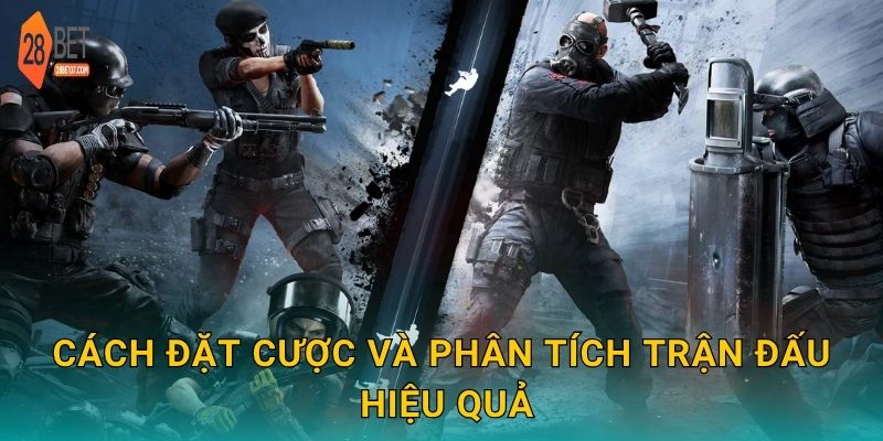 Cách đặt cược và phân tích trận đấu hiệu quả